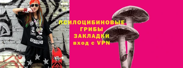 индика Богородск