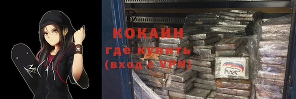 гидра Белокуриха