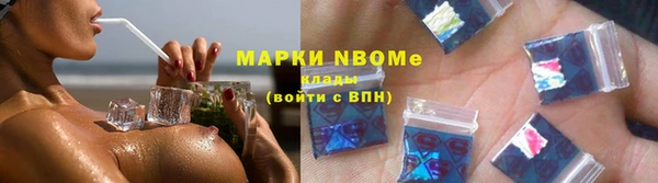 индика Богородск