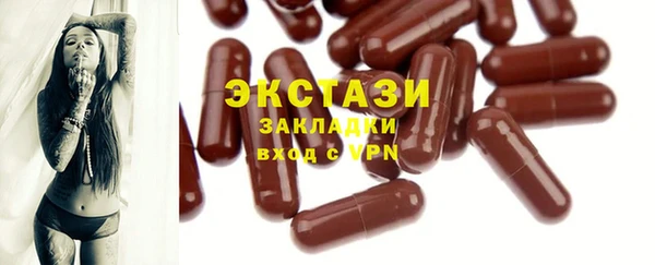 индика Богородск