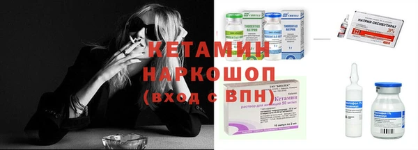 индика Богородск