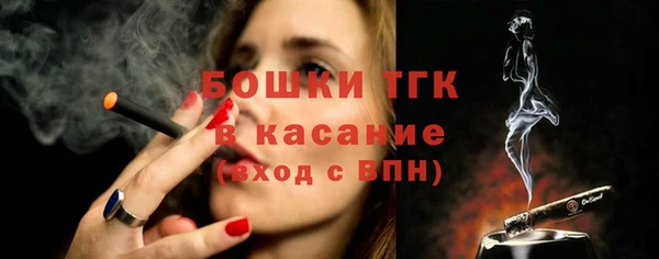 тгк Богородицк