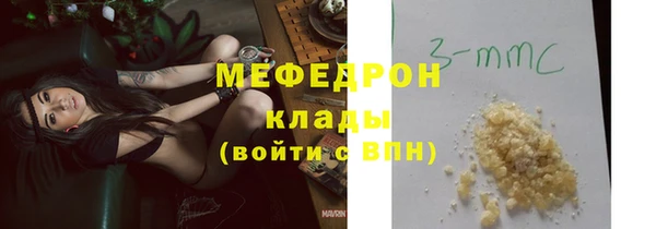 индика Богородск