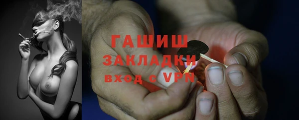 гидра Белокуриха