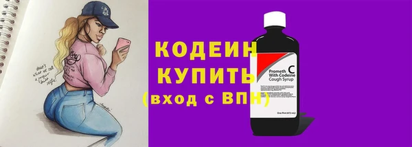 индика Богородск