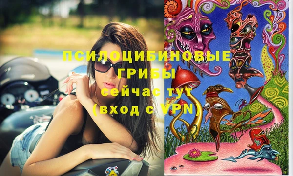 МДПВ Богданович