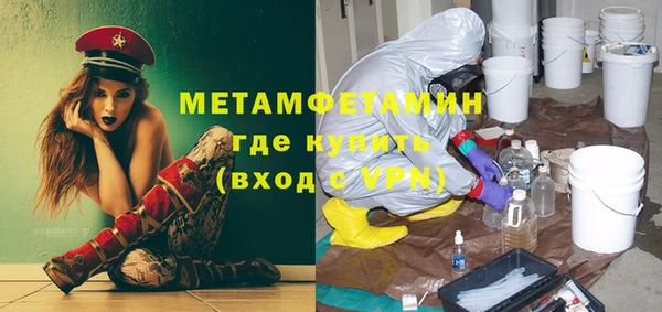 индика Богородск
