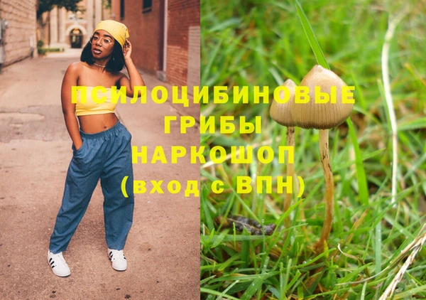 дживик Белоозёрский