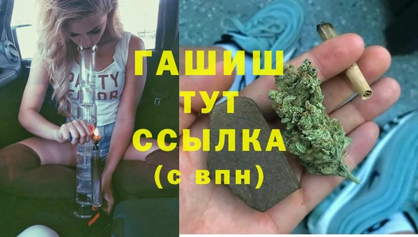гидра Белокуриха