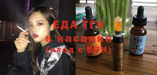 индика Богородск