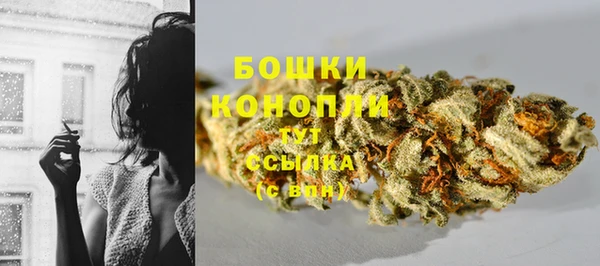 тгк Богородицк