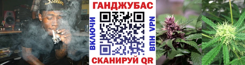 Бошки Шишки конопля  где купить   Сланцы 
